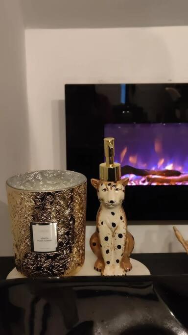 Logement Romantique Et Cosy Charleroi Zewnętrze zdjęcie