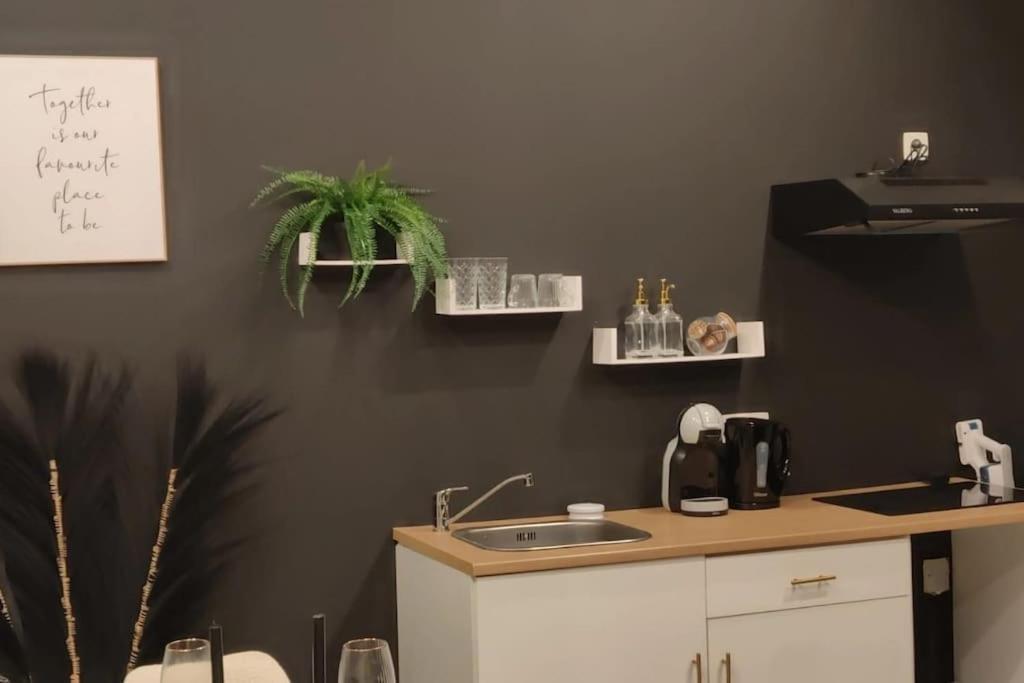 Logement Romantique Et Cosy Charleroi Zewnętrze zdjęcie