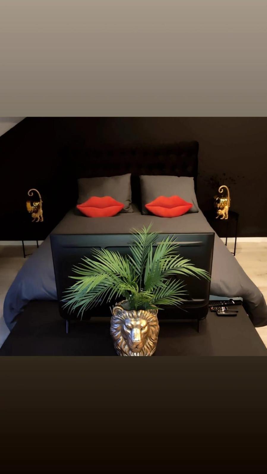Logement Romantique Et Cosy Charleroi Zewnętrze zdjęcie